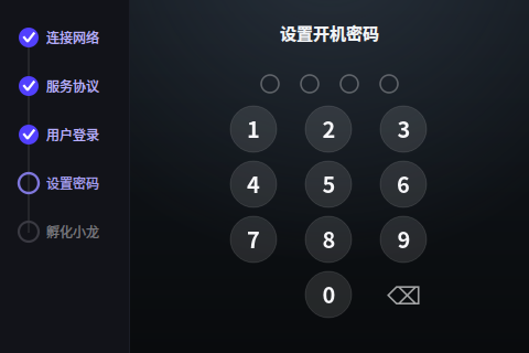 输入 PIN 码